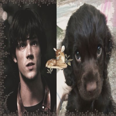 eddieshxle's profile picture. 