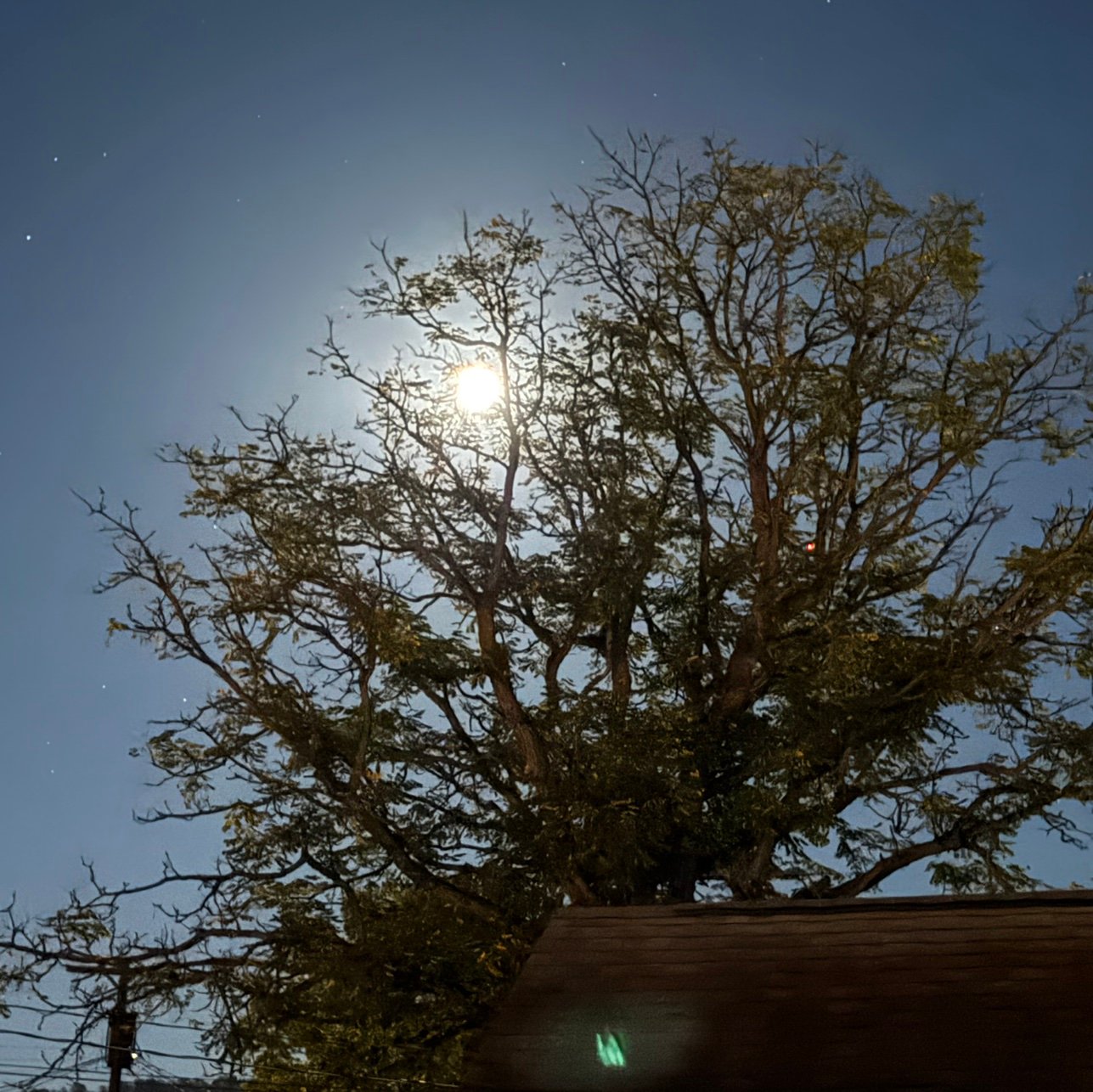 Porc3lainH3art's profile picture. 