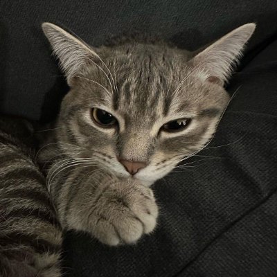 manaafv's profile picture. 🇲🇹 / 🇦🇺 ☆  22K USD ☆ 4x Cash Cup Winner ☆