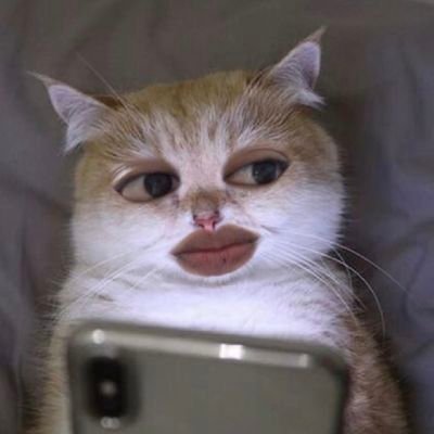 dindayanglain's profile picture. 1% of my life that I allowed u to consume.