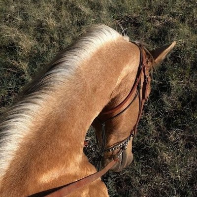 altalby_mh96045's profile picture. 