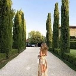 Gewie0799913's profile picture. 