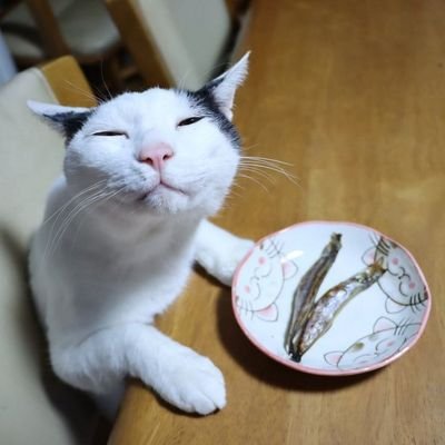 breakingmyself0's profile picture. lowkey recovering bc i need doctors to take me seriously abt my chronic health condition