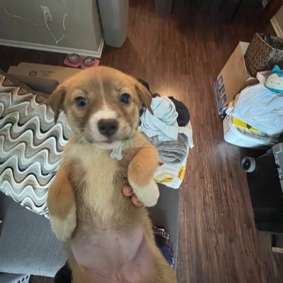 FridaIsMySavior's profile picture. Believe the hype 🦅