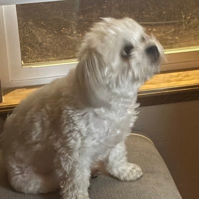 DeLeon_fps's profile picture. 18 | volleyball player | Valorant player for @AffinityVal | Trust in god 🙏