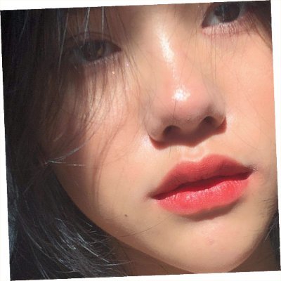 KleinPatie51366's profile picture. 