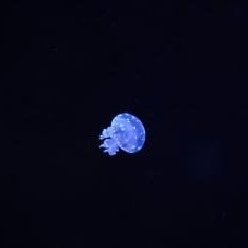 YDE_8's profile picture.