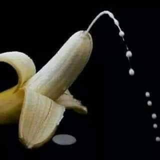 squirtbuster's profile picture. 