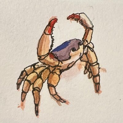 SidsCreativTech's profile picture. AR/Games Engineer, Artist, scrub of a writer.
Aspiring hermit