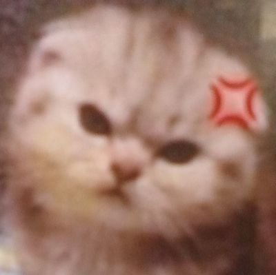 elisha_mic94406's profile picture. 