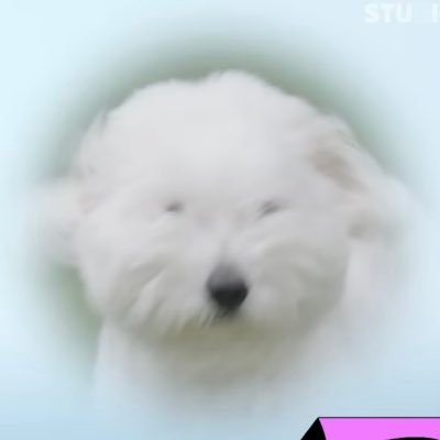 _2OO5O826's profile picture. 