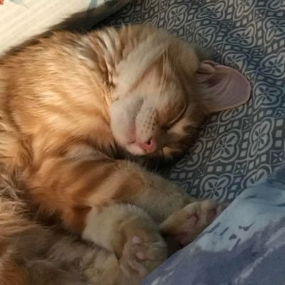 NWilliam22470's profile picture. I love watching streaming and especially gaming.🎮🙃