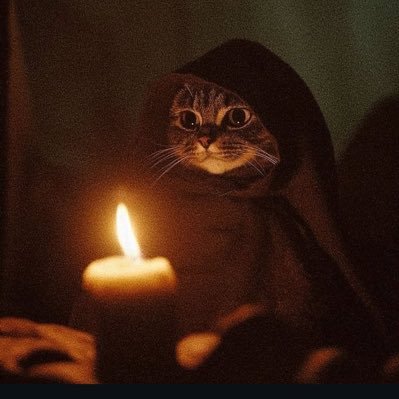 ssaallaar's profile picture. نمیدونم چی سکشوال / جاویدشاه👑 پیشی دوست و عاشق لازانیا. تورک زبان  ایران دوست