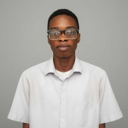 favour66373's profile picture. Flutter developer