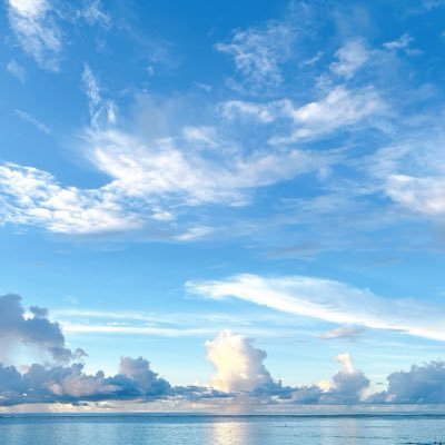 tris_grokdoge's profile picture. Tris + Grok + DOGE 🐕 🚀 Just vibing