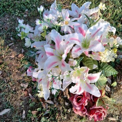 BillLynn247's profile picture. Im single and lonely I need new friends only honest people fake profiles stay away from me