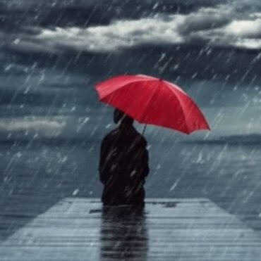 ilithiophobic__'s profile picture. fu©kt0se intolerant