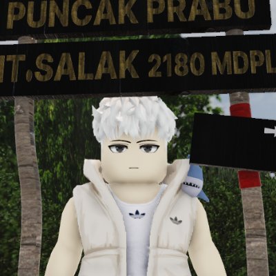 avocadomonoo's profile picture.