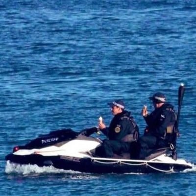 llingoride's profile picture. I was blessed with a gift. It's a gift and a curse. It never ends. – Dan Fogelberg🧏🚞