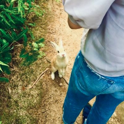 れもん れもん (@lemonneko16) / Posts / X