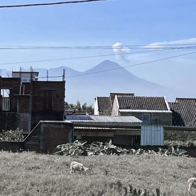 bukanijommiskin's profile picture. Playing : "Pulut Roham" | Rome 8:28 | Bi | Pengen jadi hulk 😡 | Akun baru, bosen sm akun lama