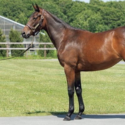 fOpK9WxrtuhRwGi's profile picture. 北海道