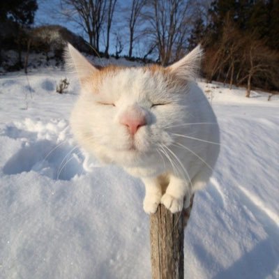 evvdlx's profile picture. 