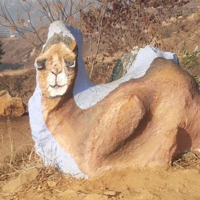 saugattm's profile picture. 