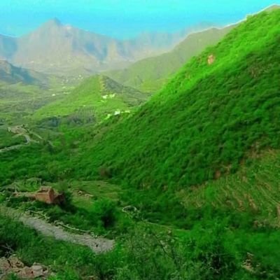 alhdydy18494's profile picture. صديق