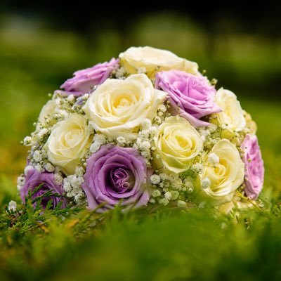 minmin1243691's profile picture. 恋活婚活中のアラフィフ／年上2人との恋模様🌱→1人に減った／悩みは仕事＆更年期