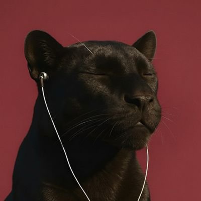 wfddesigner's profile picture. Product & UI/UX Designer | wilfredonoriode@gmail.com