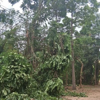 H61825278211's profile picture. 