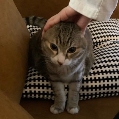 p0l0u0m's profile picture.