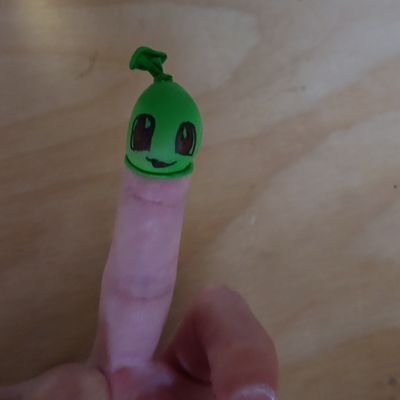 Ra_bit96's profile picture. 中指チコリータ