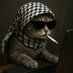 Islamicat 💣😾🕌 💥 Profile picture