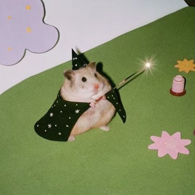 araj9439's profile picture. estudando e observando