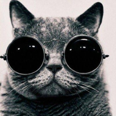 s4nki__'s profile picture. 