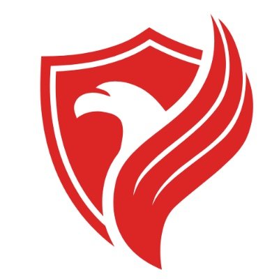 iteagleeye's profile picture. IT Eagle Eye provides cybersecurity, compliance, risk management, and IT management services.