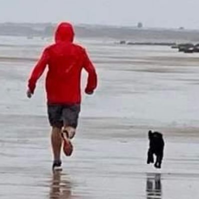 glenwesterman's profile picture. 🇬🇧🇫🇴🇦🇺🏴󠁧󠁢󠁳󠁣󠁴󠁿🇺🇸🇮🇱🇳🇱