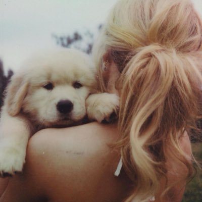 fqelcity's profile picture. victim of not getting charmed at the clairo tour, 2024