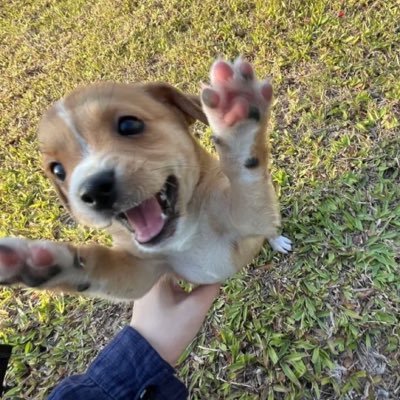 sonnett018's profile picture. 📚🖊️📸📺 🪼