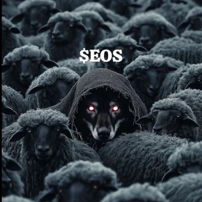 Phoenix672371's profile picture. 