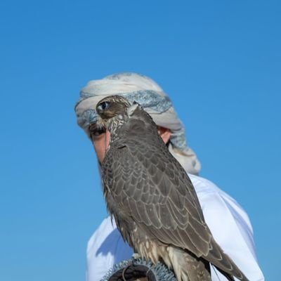 davidfanclu's profile picture. prefer to be called fazza