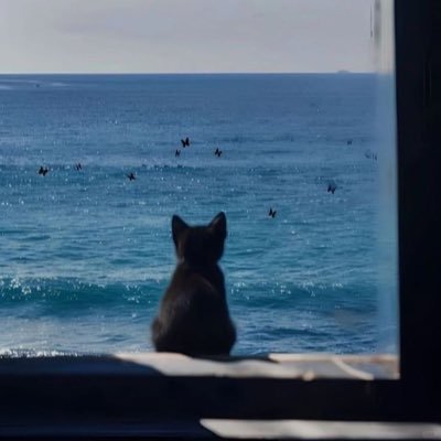 Lilaclillili's profile picture. If you hate Jimin you will die and go to hell