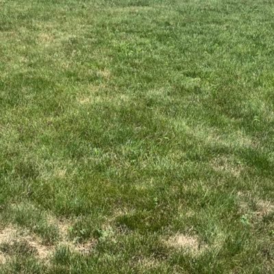 macHOCOOOO's profile picture. 