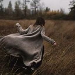 Iseavi335042's profile picture. 