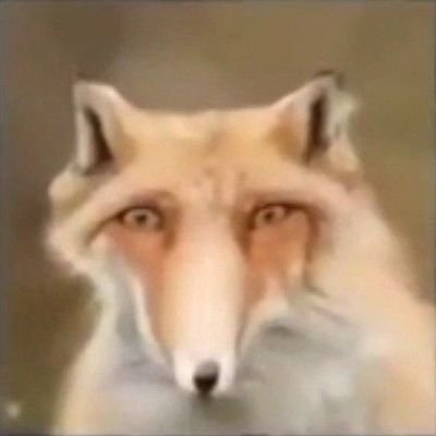 ngoc84891's profile picture. just a chill fox
(poor eng)🇻🇳