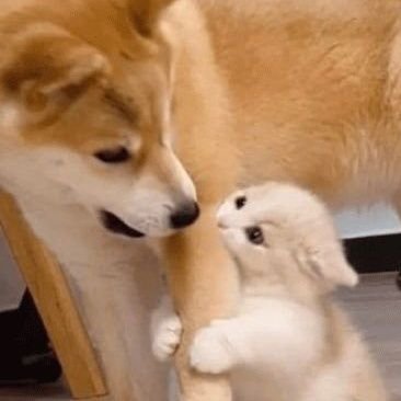 p_jiaa's profile picture. my lovely @ppnaravit @phuwintang ✧⁠*⁠。                                       yapping a lot