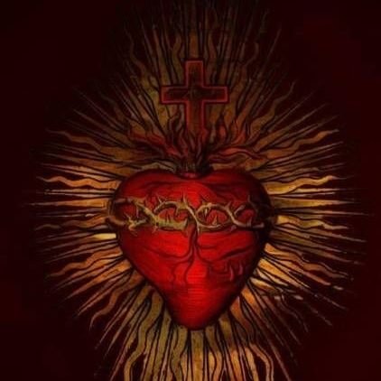 🇨🇵✝️francecathoradical✝️🇨🇵 Profile