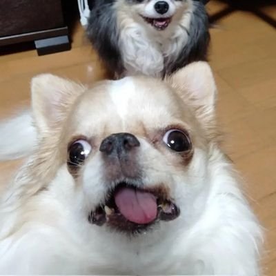 ttincann's profile picture. 흙수저. 죽창 지향성. 엠지부서 체험중 /👩‍❤️‍💋‍👨🐭🍑